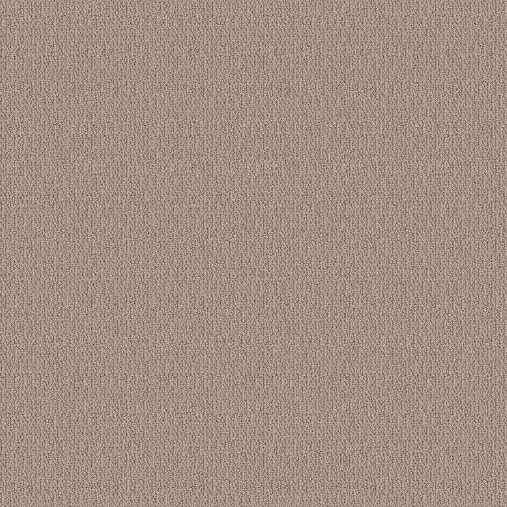 Shaw Loop De Loop Carpet in Pebble Path