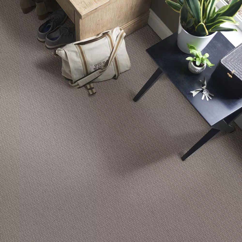 59509-shaw-loop-de-loop-carpet-in-industrial-1.jpg