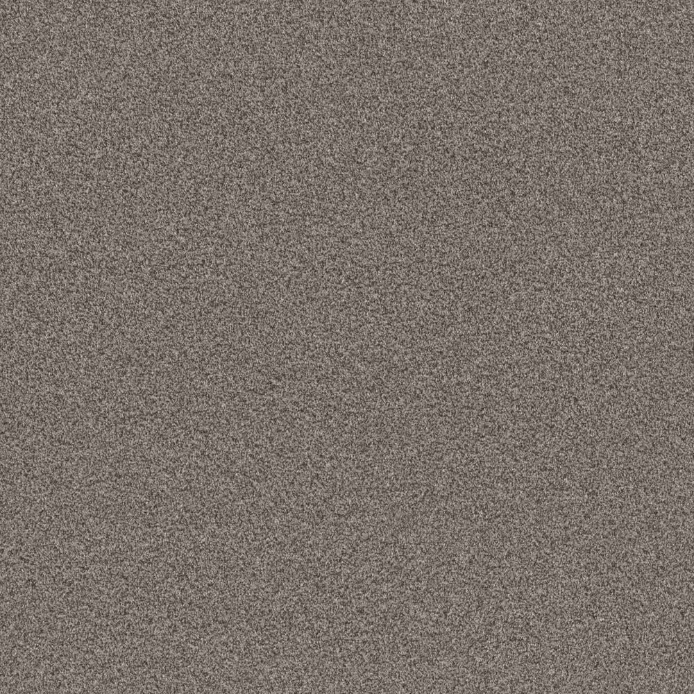 Shaw Influencer Carpet in Fossil Path