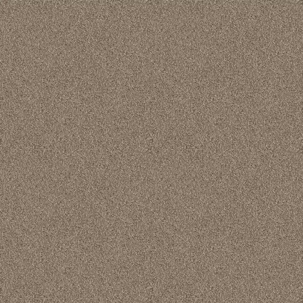 Shaw Influencer Carpet in Raw Wood