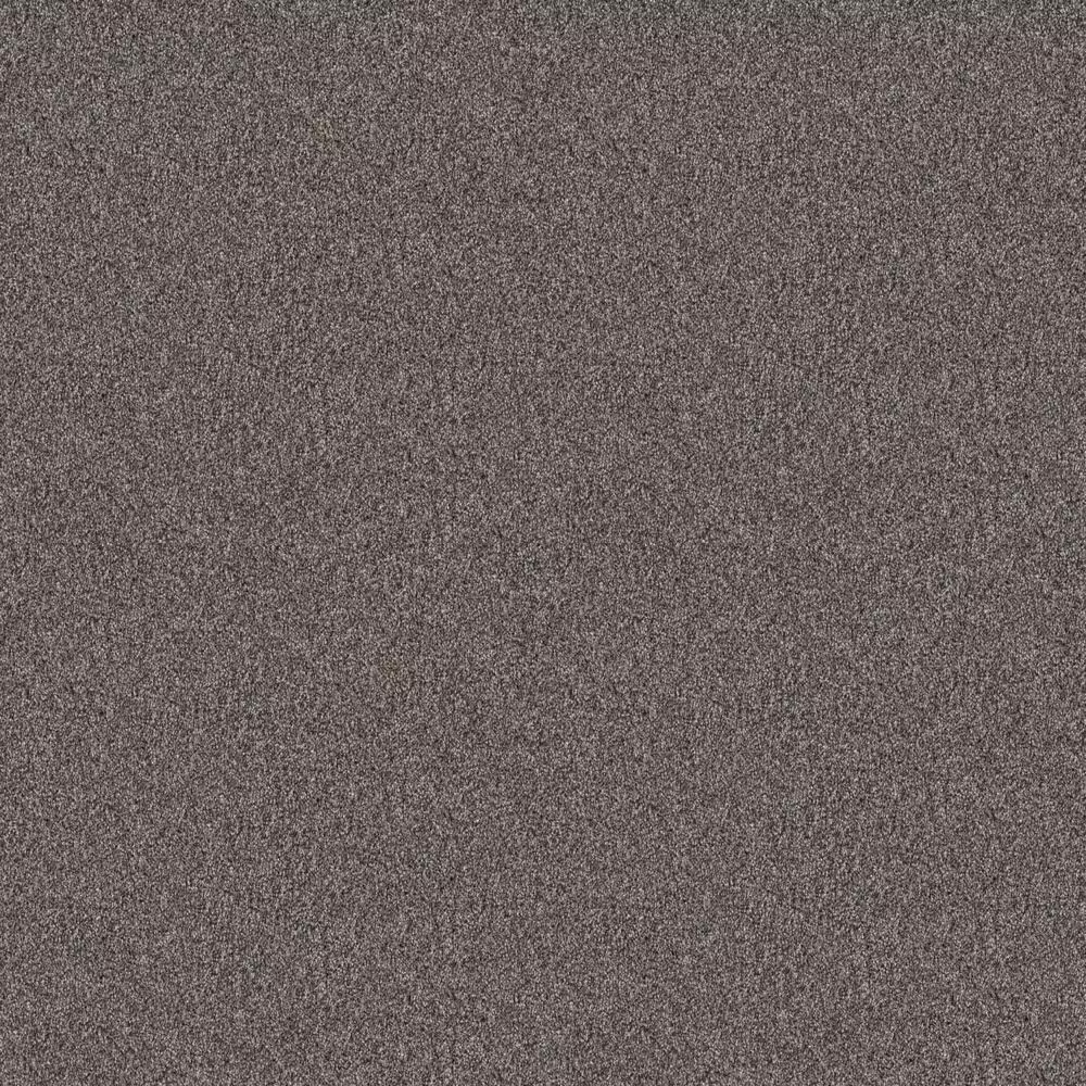 Shaw Influencer Carpet in Desert View