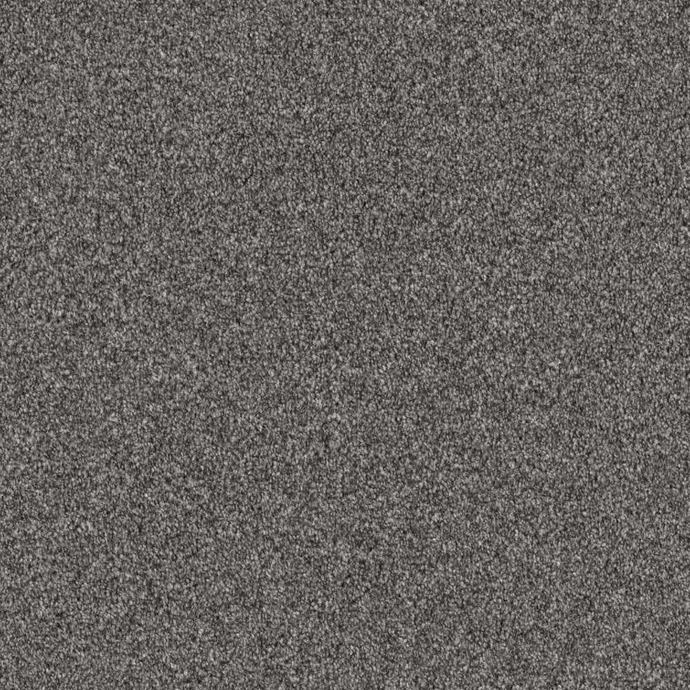 Shaw Influencer Carpet in Sentimental