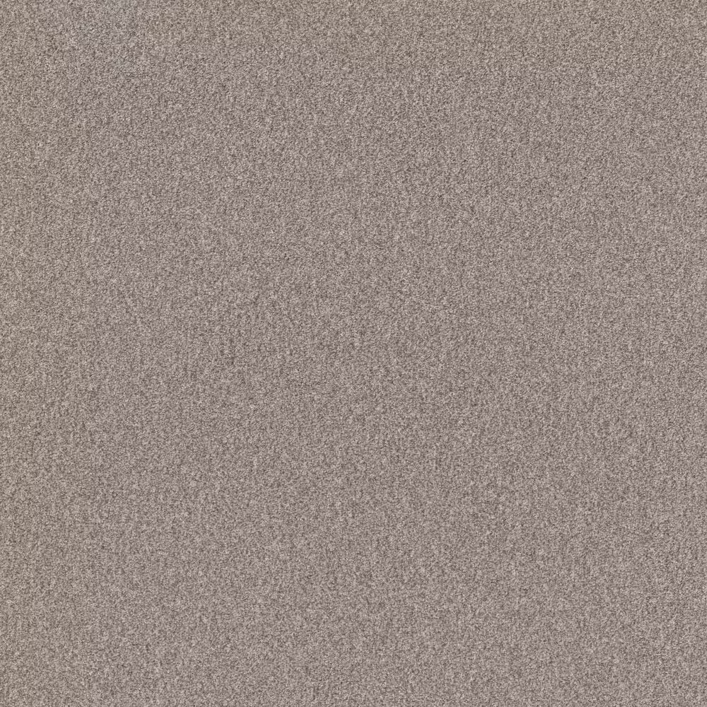 Shaw Influencer Carpet in Baltic Stone
