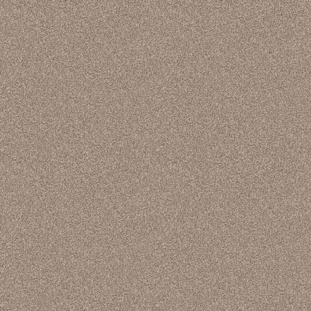 Shaw Influencer Carpet in Sun Kissed