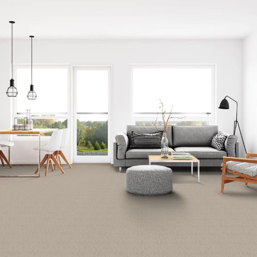 59590-dixie-home-worthington-carpet-in-tinge-1.jpg