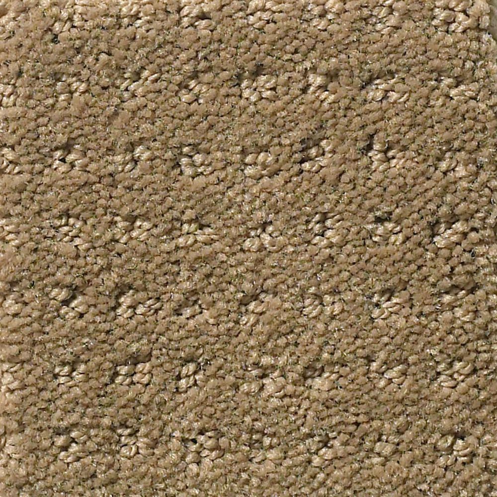 Shaw Detailed Elegance Patterned Carpet in Cappuccino