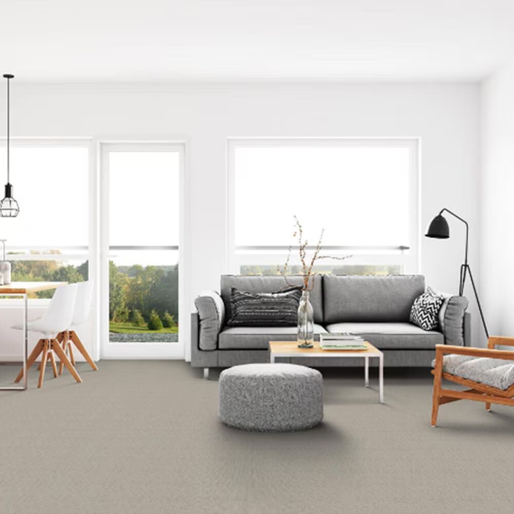 59629-dixie-home-worthington-carpet-in-frill-1.jpg