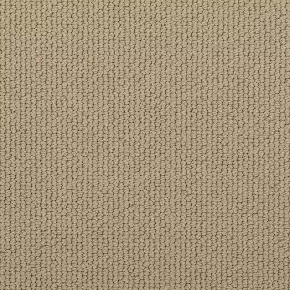 Karastan Captivating Charisma Carpet in Northwind