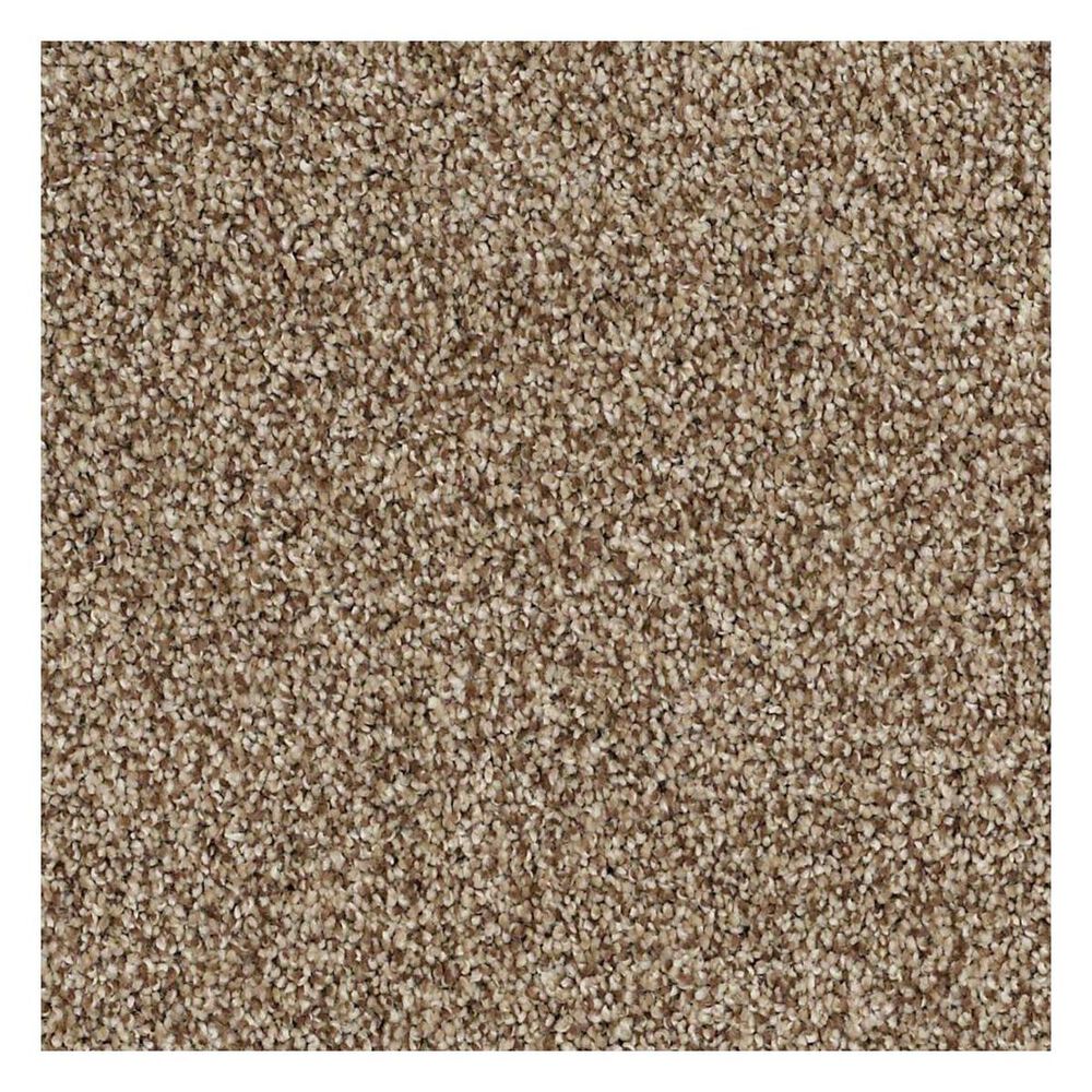 Shaw Detailed Tonal Carpet in Twig
