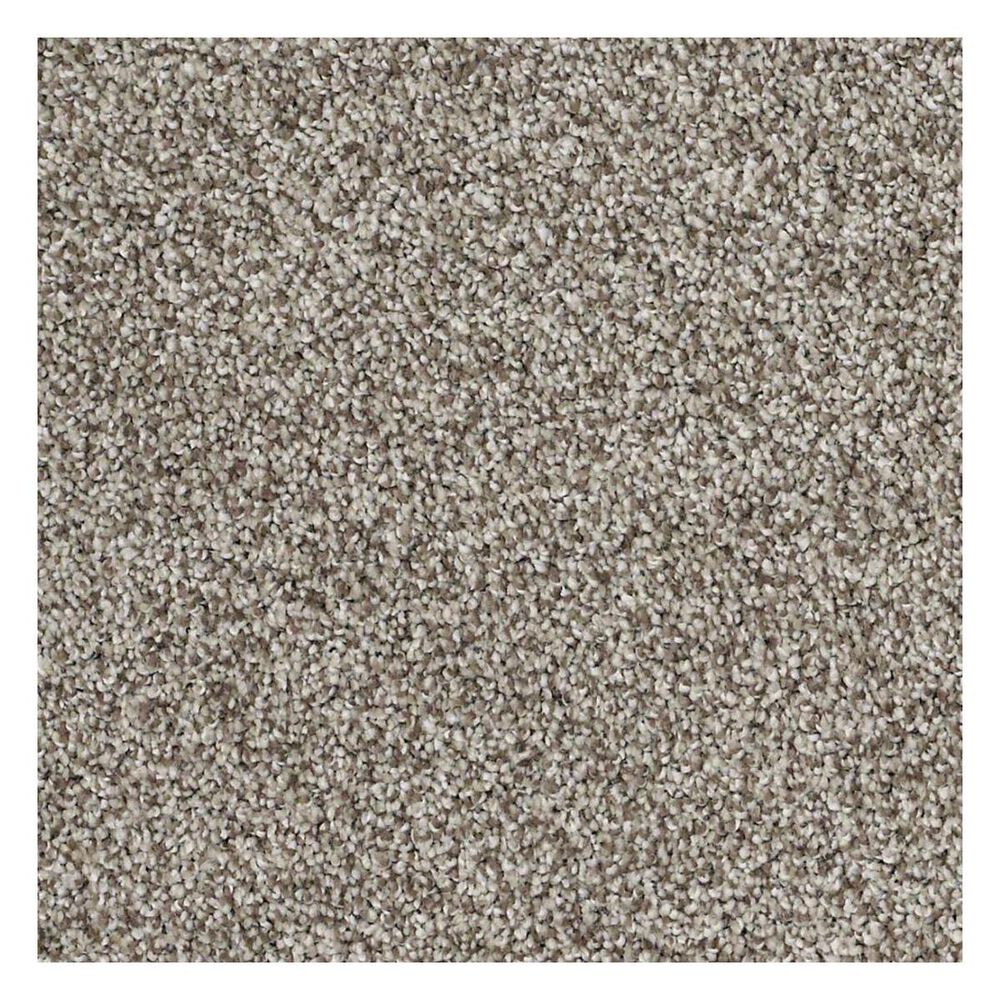 Shaw Detailed Tonal Carpet in Rocky Coast