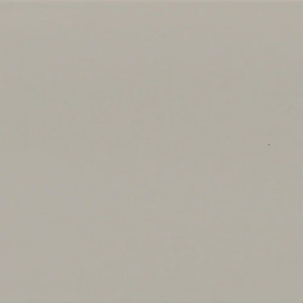Emser Catch Fawn 3" x 6" Matte Glazed Ceramic Tile