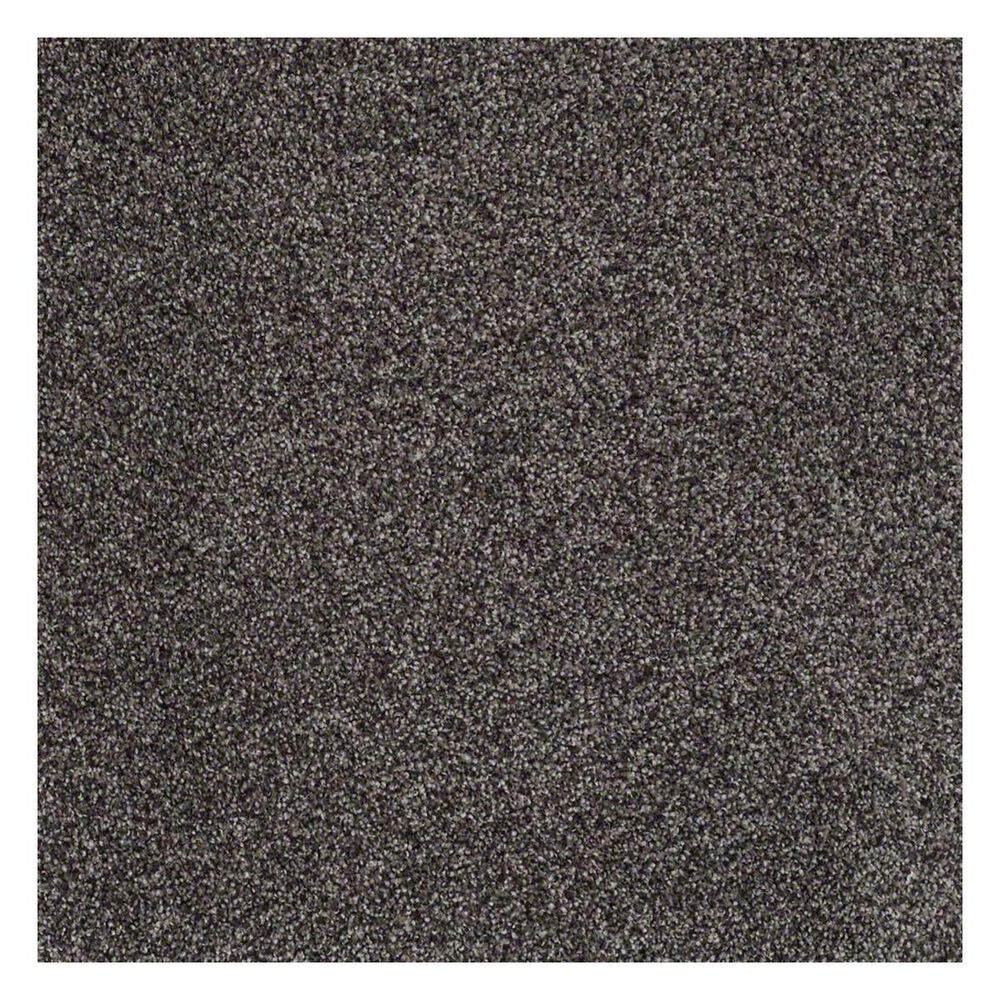 Shaw Detailed Tonal Carpet in Vintage Leather