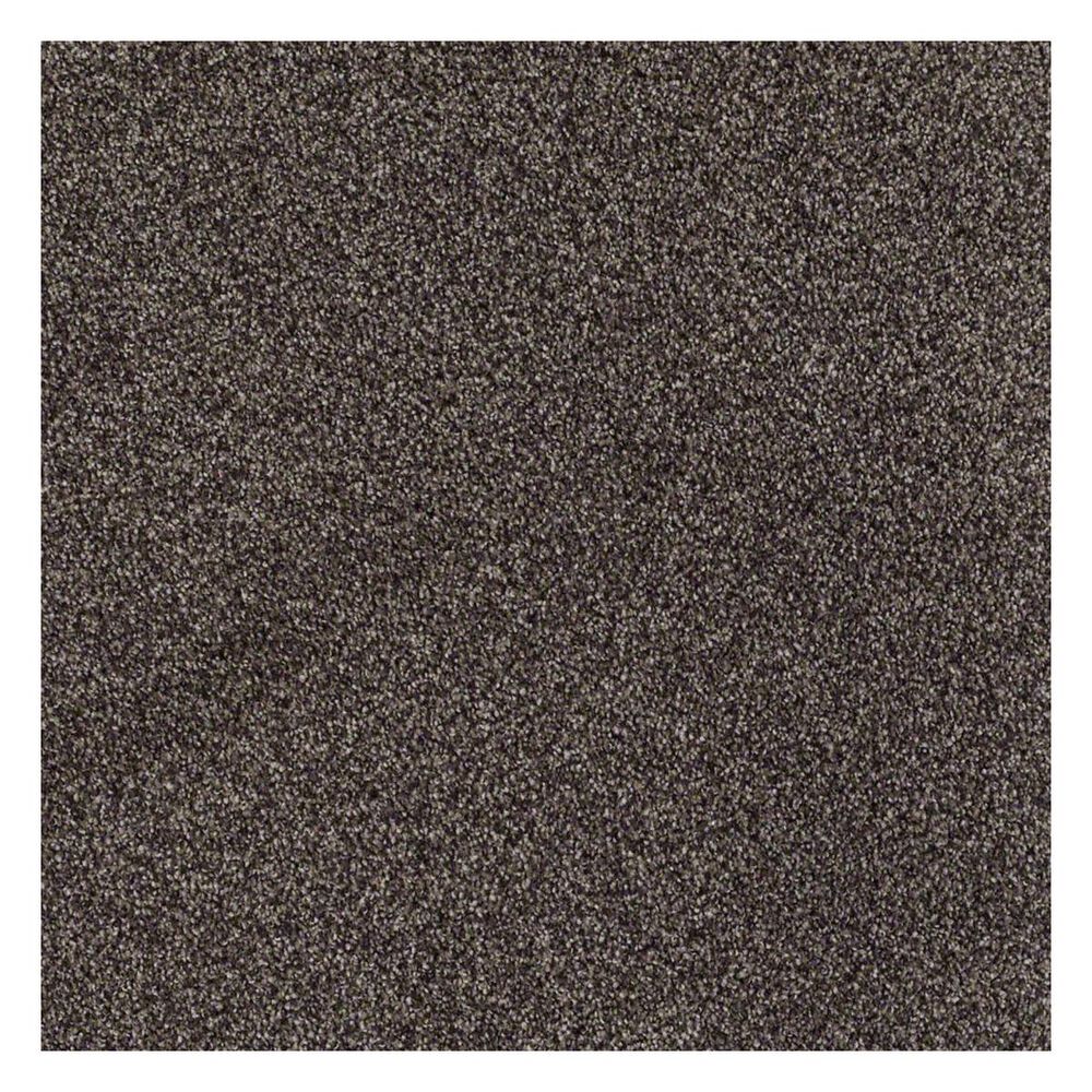 Shaw Detailed Tonal Carpet in Chocolate