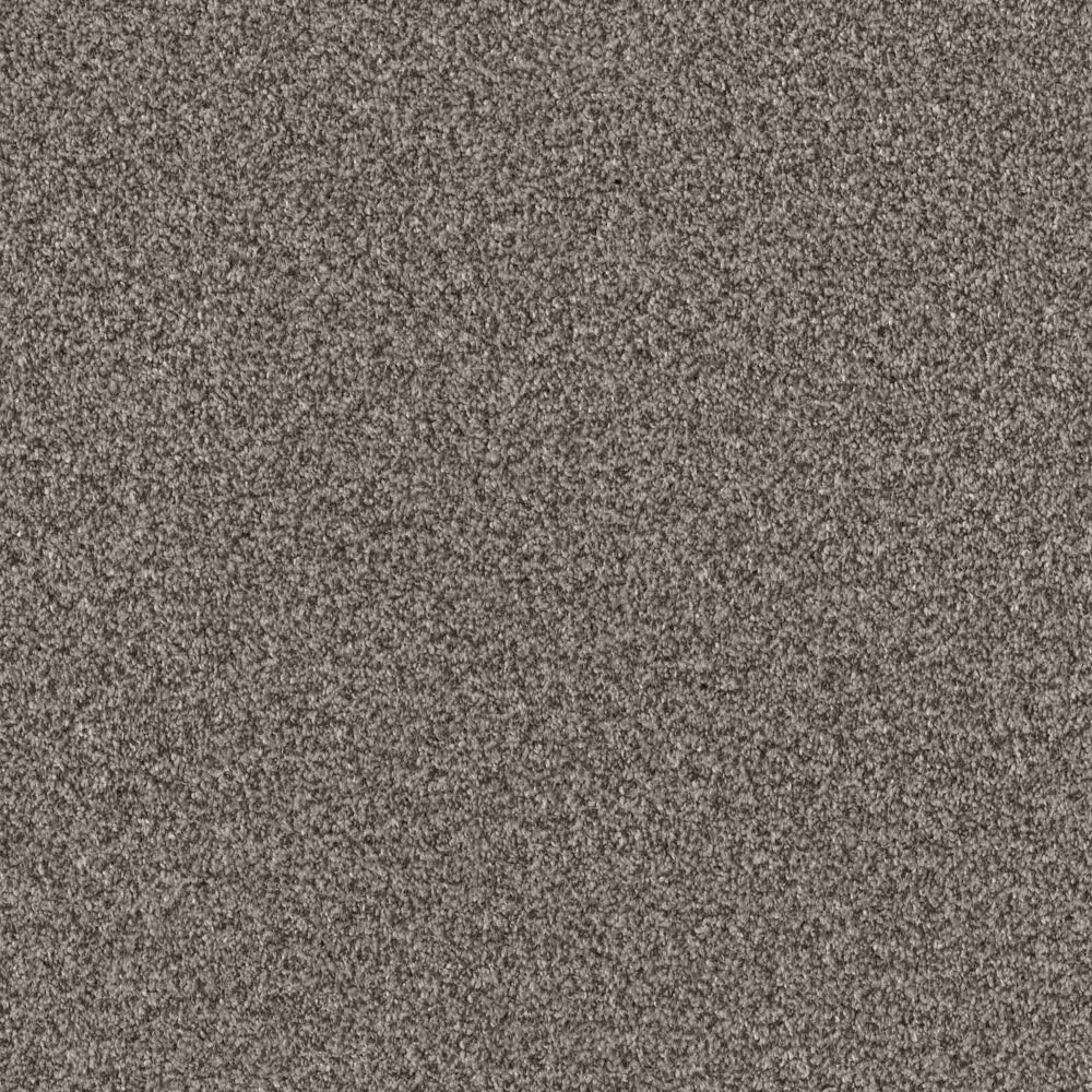 Shaw Grandiose Carpet in Fossil Path