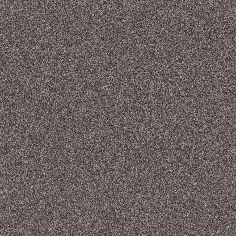 Shaw Grandiose Carpet in Sentimental