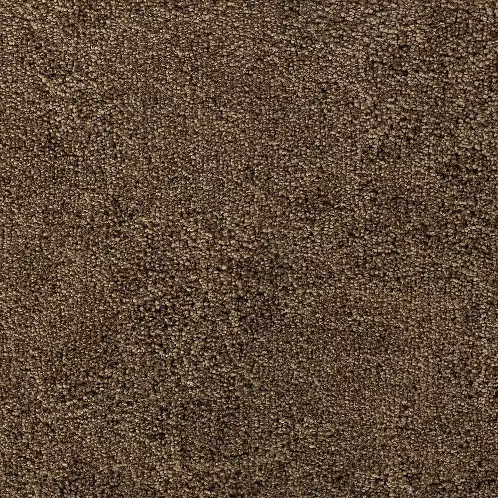 Karastan Lavish Indlugence Carpet in Brushwood