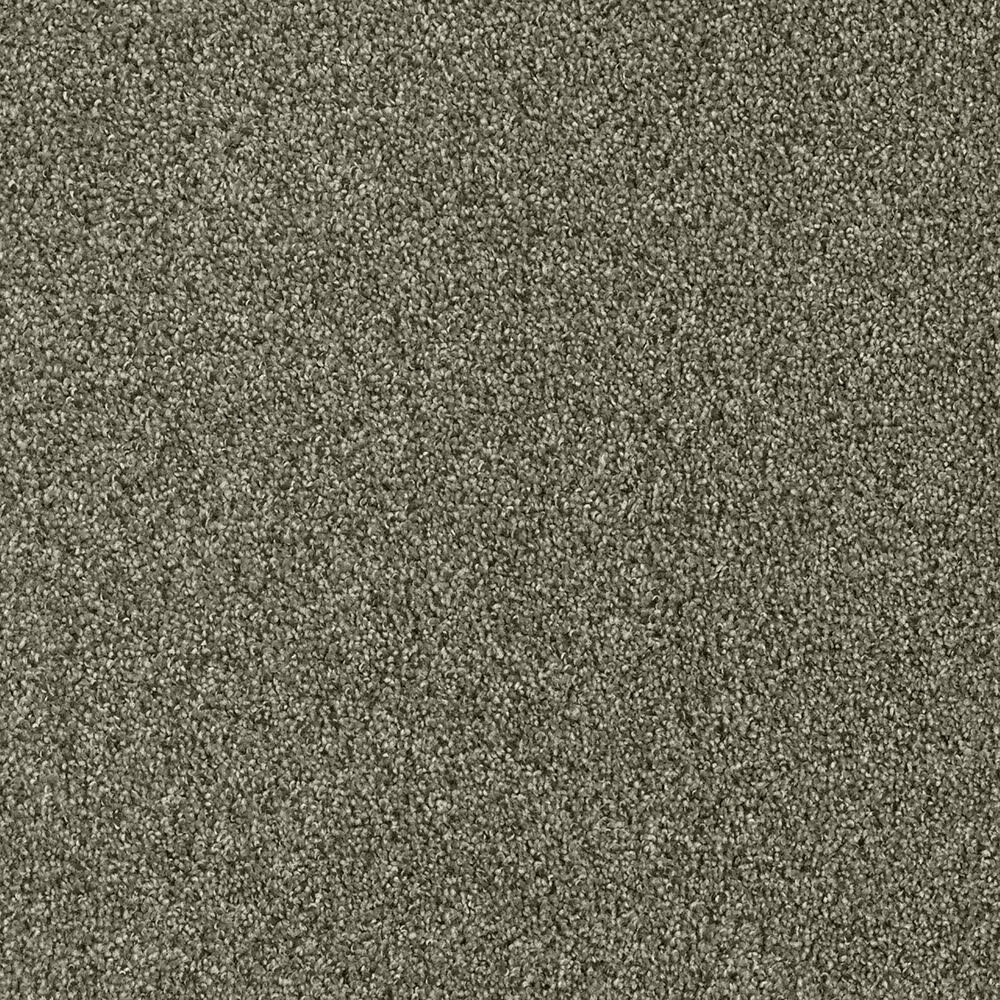 Dream Weaver Acclaim Carpet in Monaco