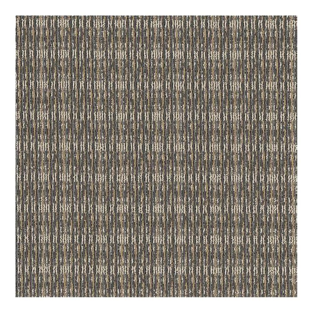 Shaw Be Present Carpet in Power