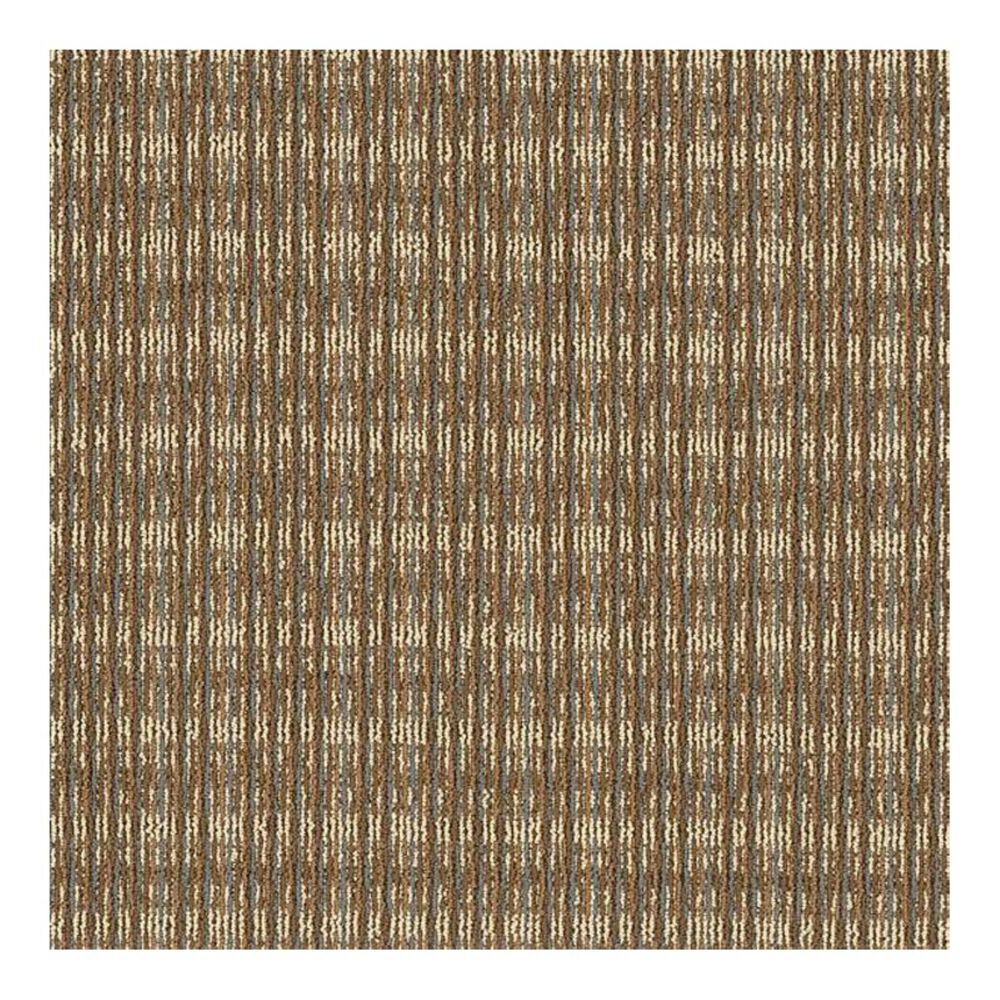 Shaw Be Present Carpet in Purpose