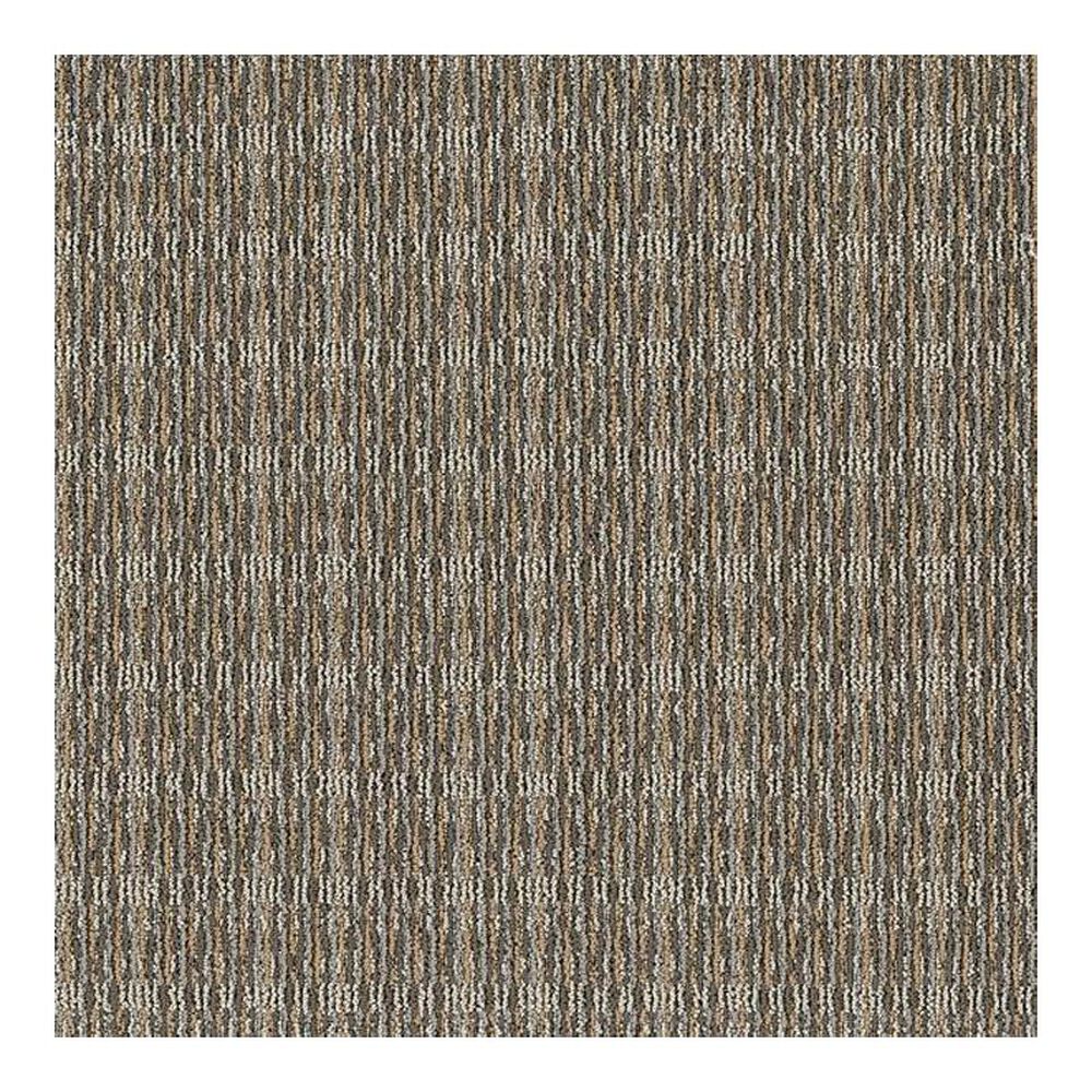 Shaw Be Present Carpet in Self