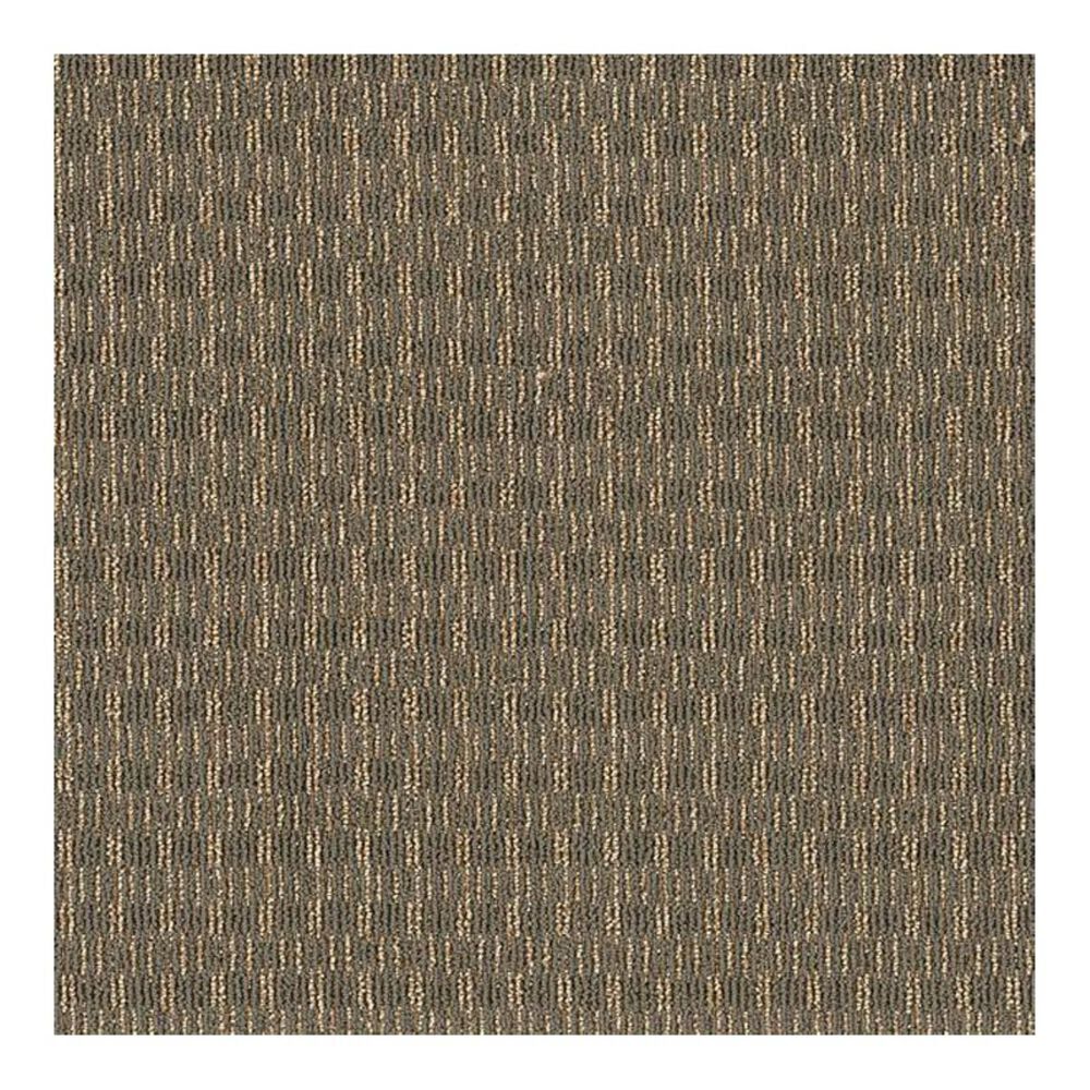 Shaw Be Real Carpet in Spirit