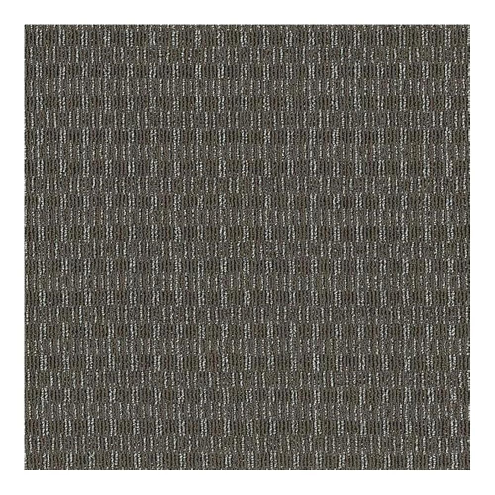 Shaw Be Real Carpet in Self