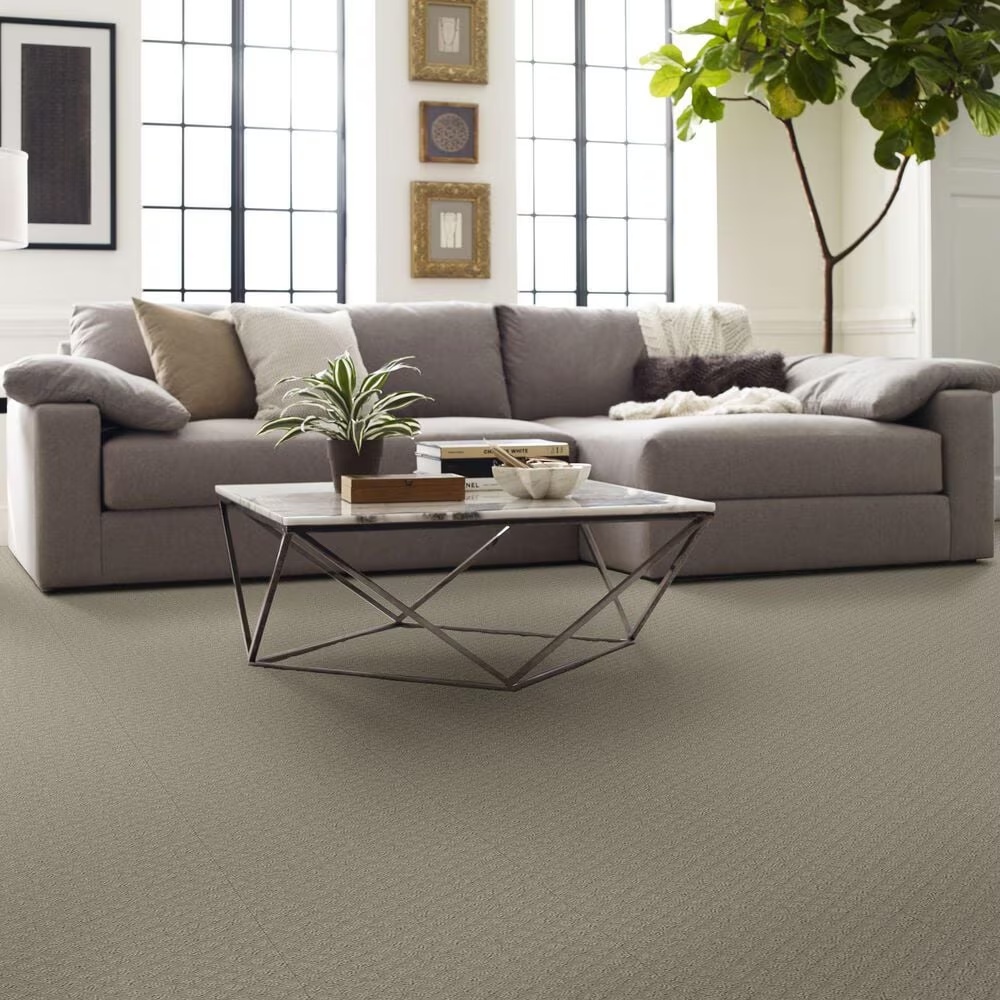 68650-shaw-entwined-with-you-carpet-in-silhouette-1.jpg
