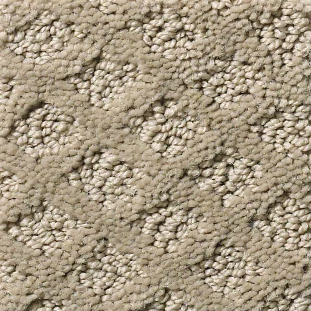 Shaw Entwined with You Carpet in Park Avenue