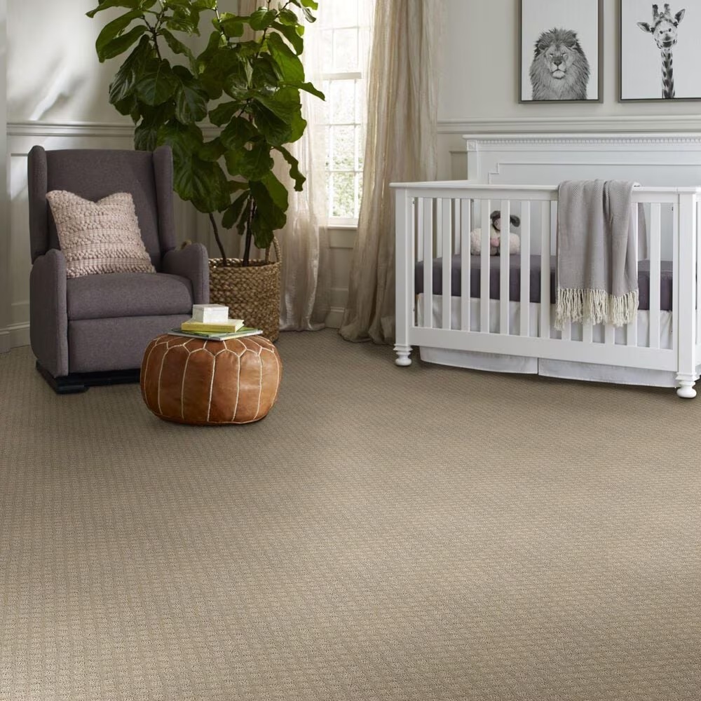 68653-shaw-entwined-with-you-carpet-in-park-avenue-1.jpg