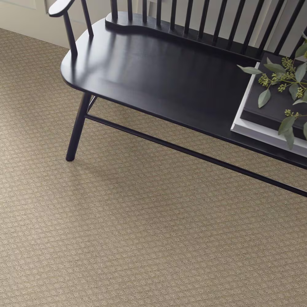68653-shaw-entwined-with-you-carpet-in-park-avenue-1.jpg