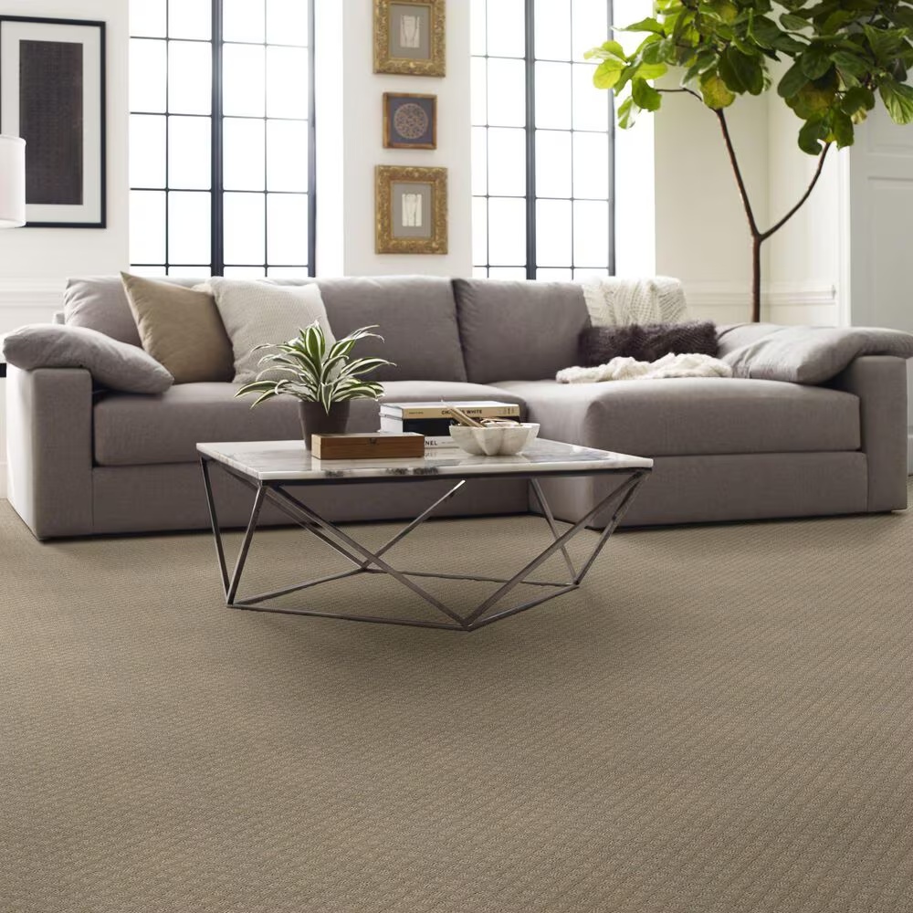 68653-shaw-entwined-with-you-carpet-in-park-avenue-1.jpg