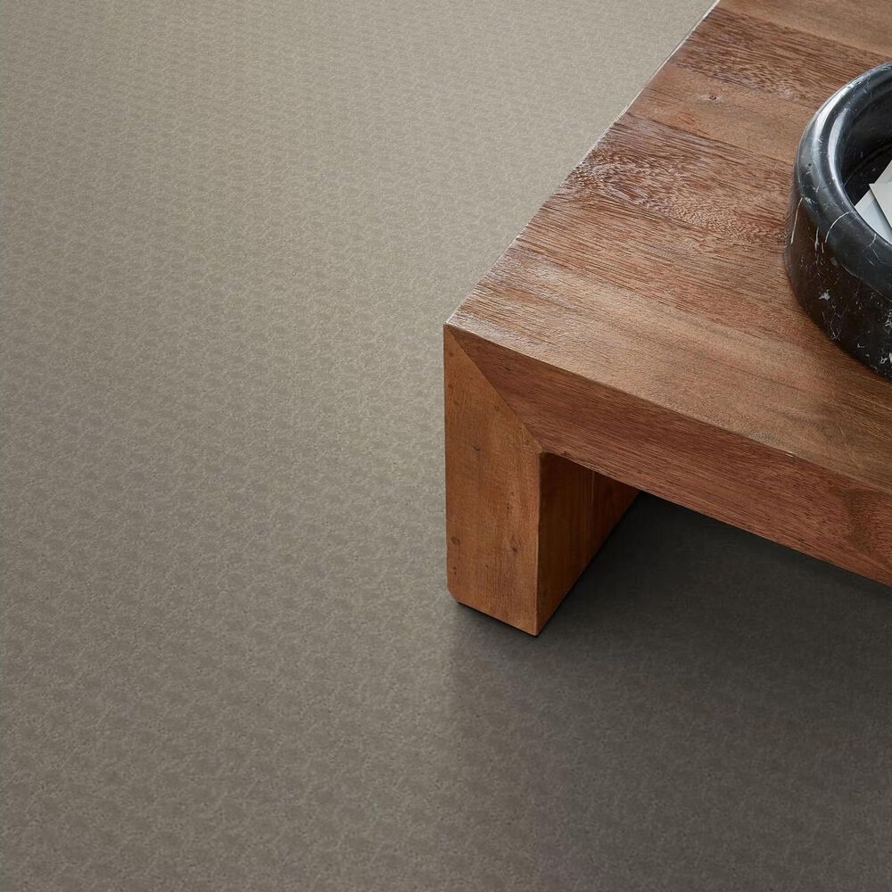 68850-shaw-valid-carpet-in-twine-1.jpg