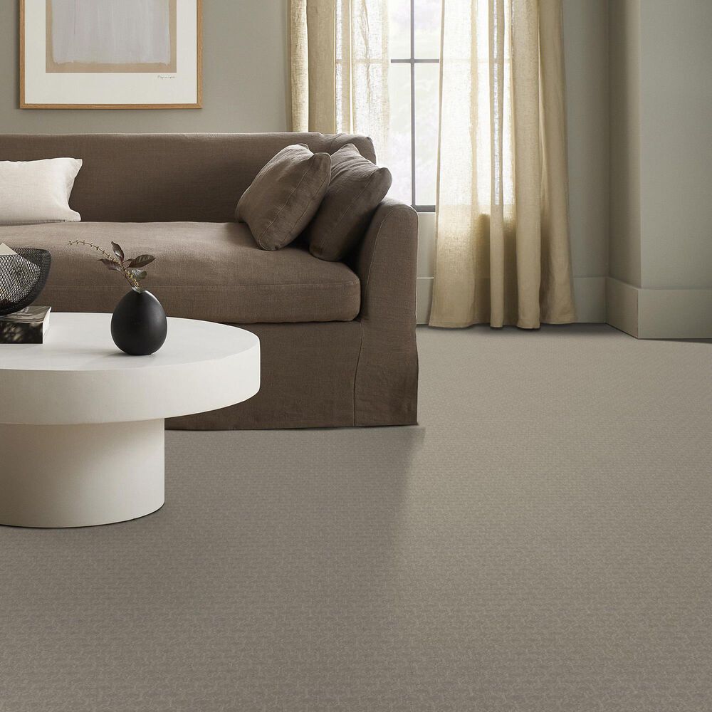 68850-shaw-valid-carpet-in-twine-1.jpg