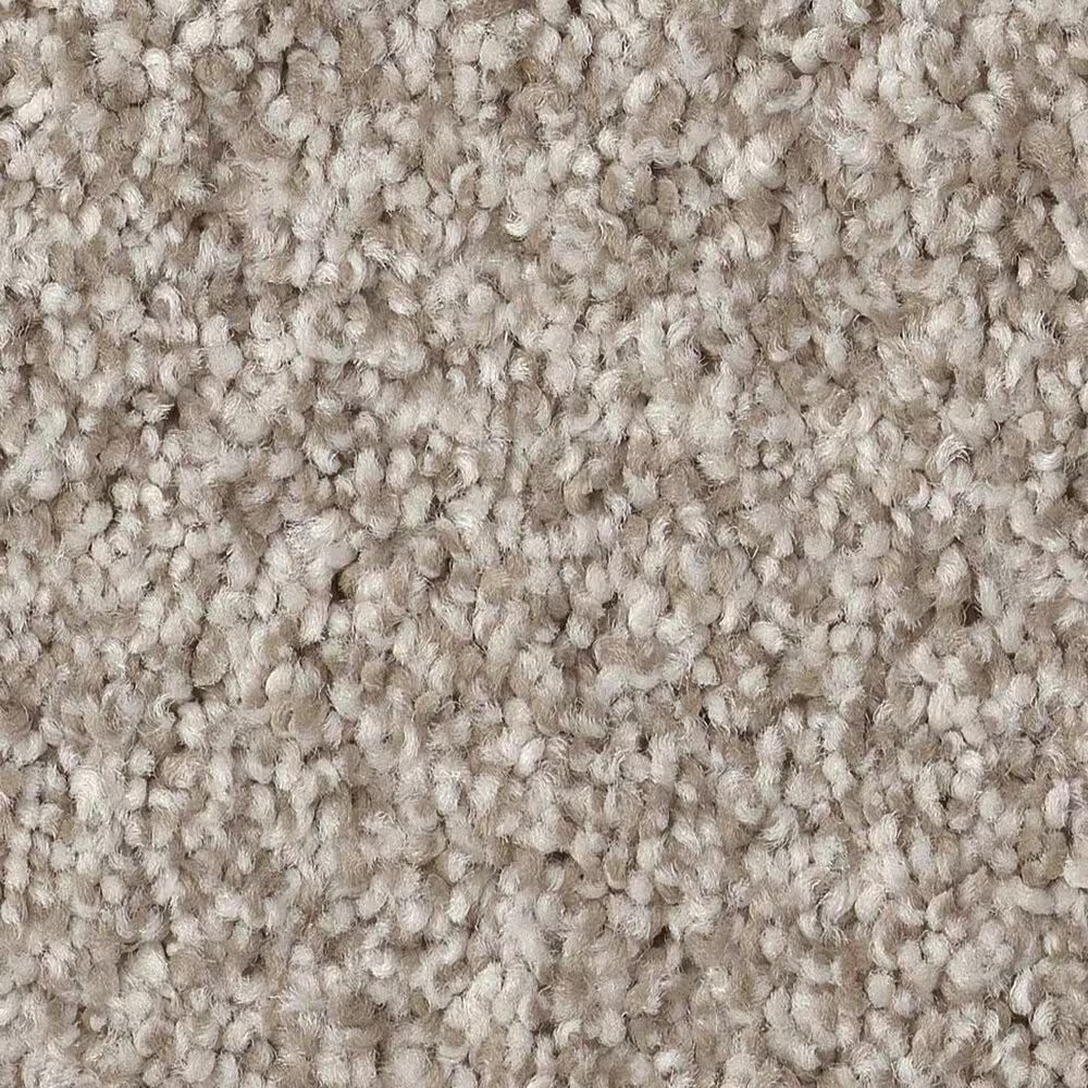 Anderson Tuftex Terra Nova Carpet in Misty Dawn