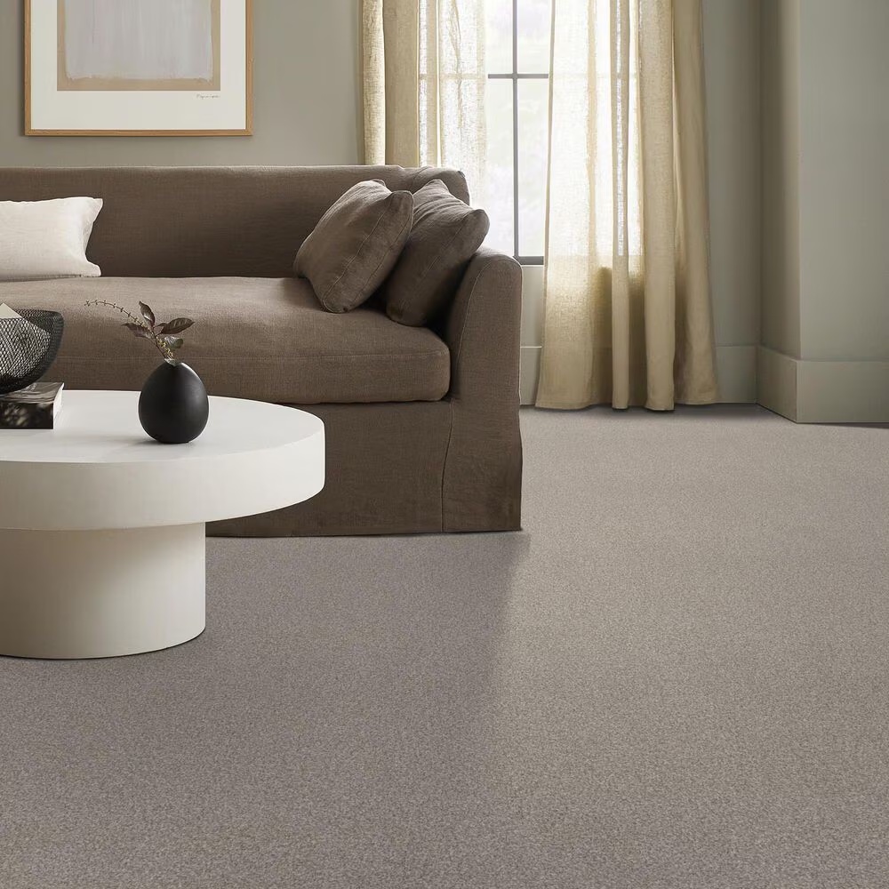 69118-anderson-tuftex-terra-nova-carpet-in-misty-dawn-1.jpg