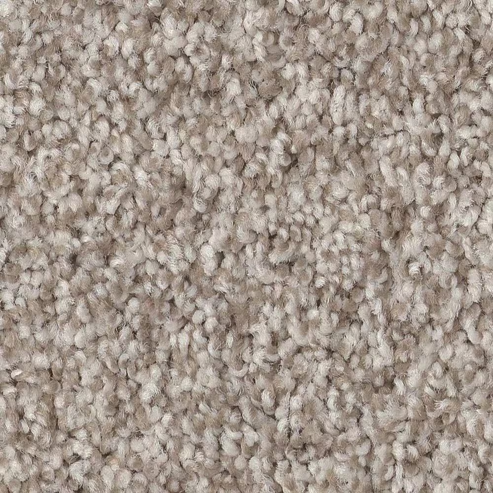 Anderson Tuftex Terra Nova Carpet in Spun Cotton