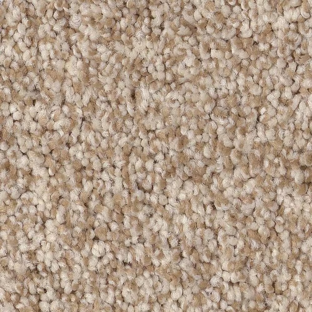 Anderson Tuftex Terra Nova Carpet in Beach Grass
