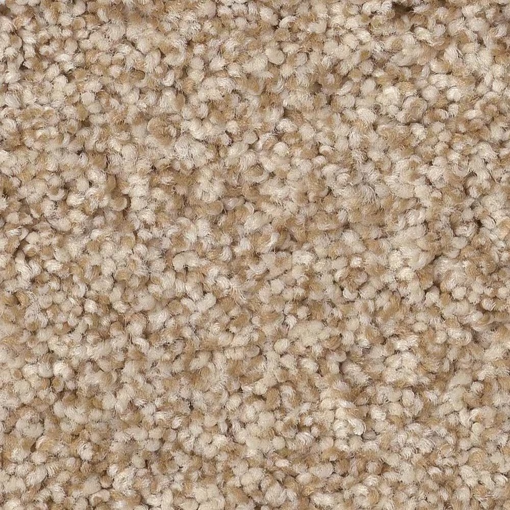 Anderson Tuftex Terra Nova Carpet in Reed