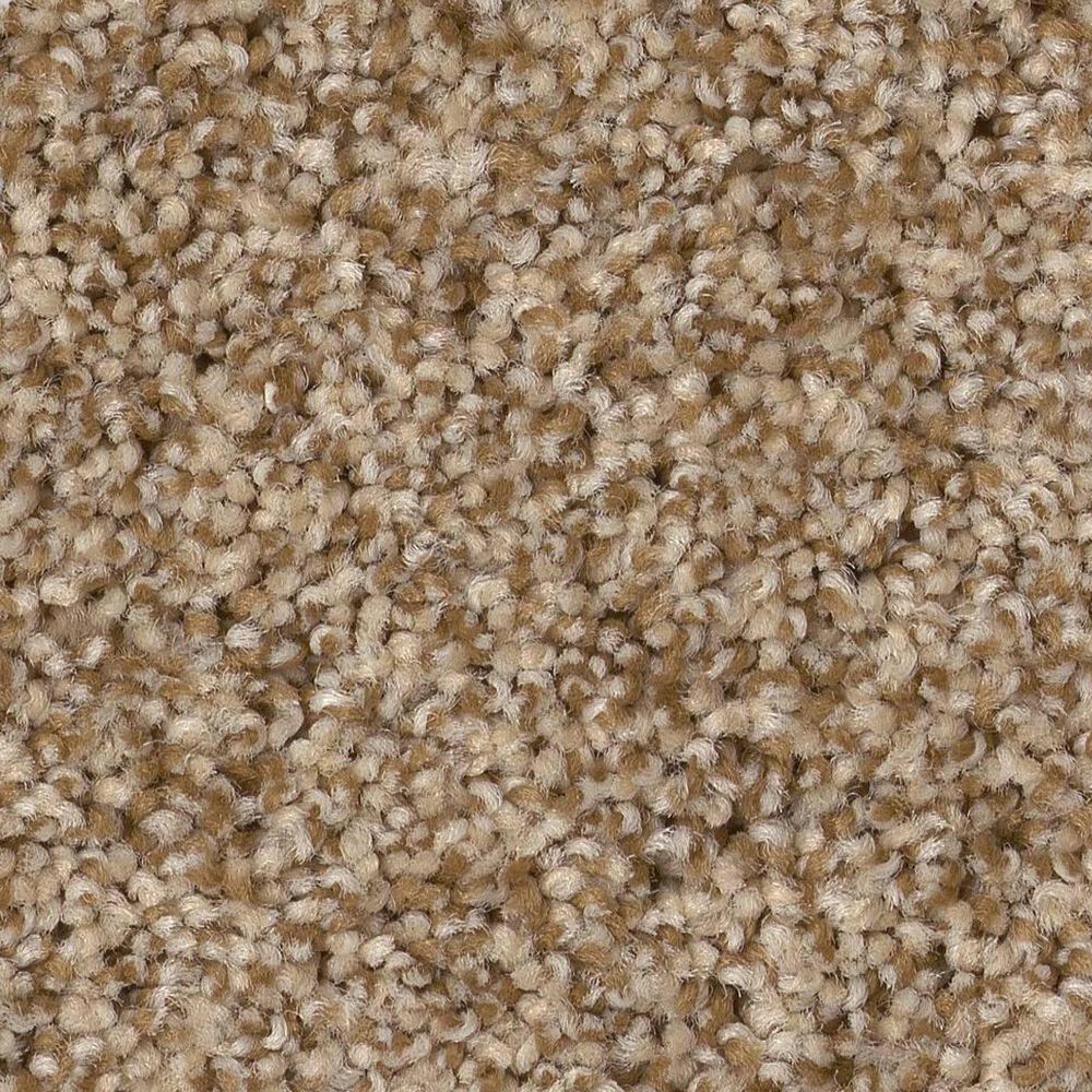 Anderson Tuftex Terra Nova Carpet in Hazel