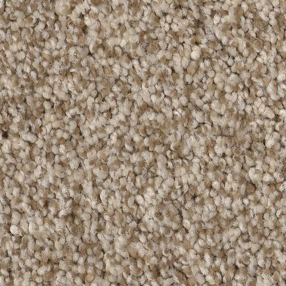 Anderson Tuftex Terra Nova Carpet in Canvas