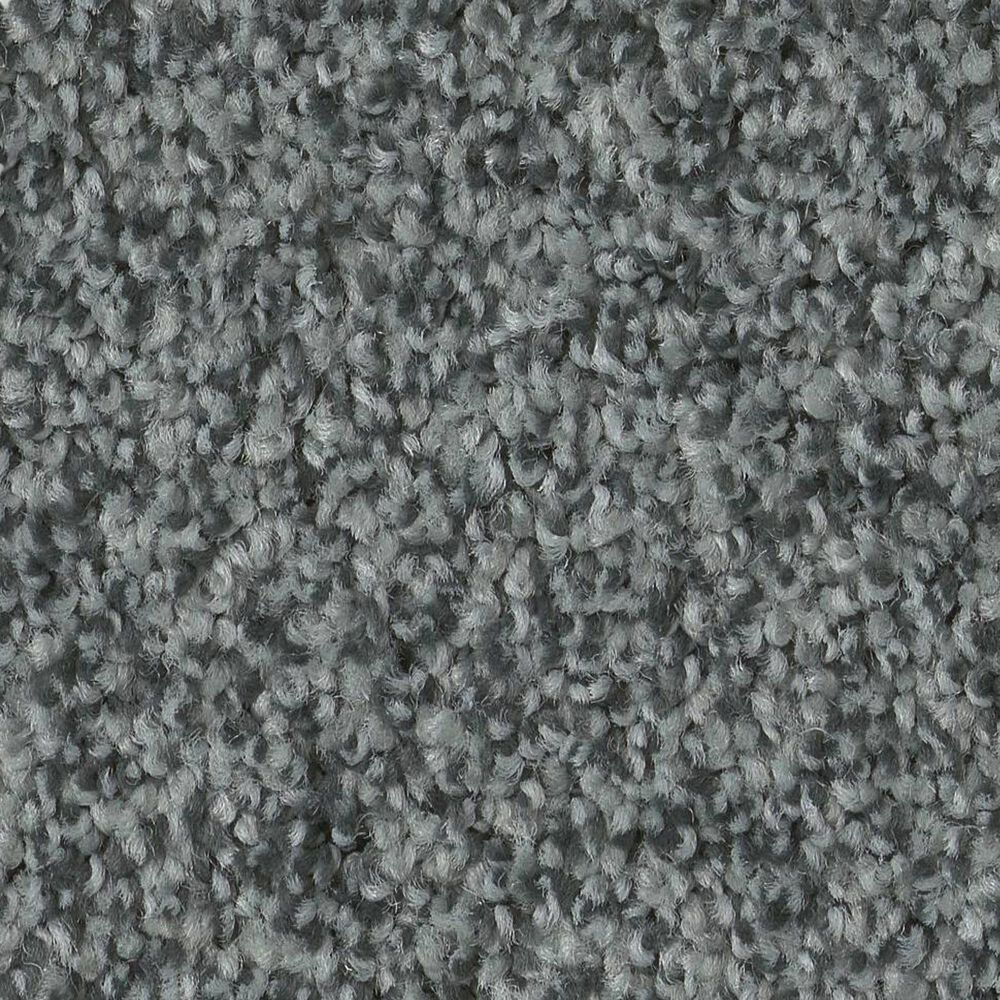 Anderson Tuftex Terra Nova Carpet in Norwegian
