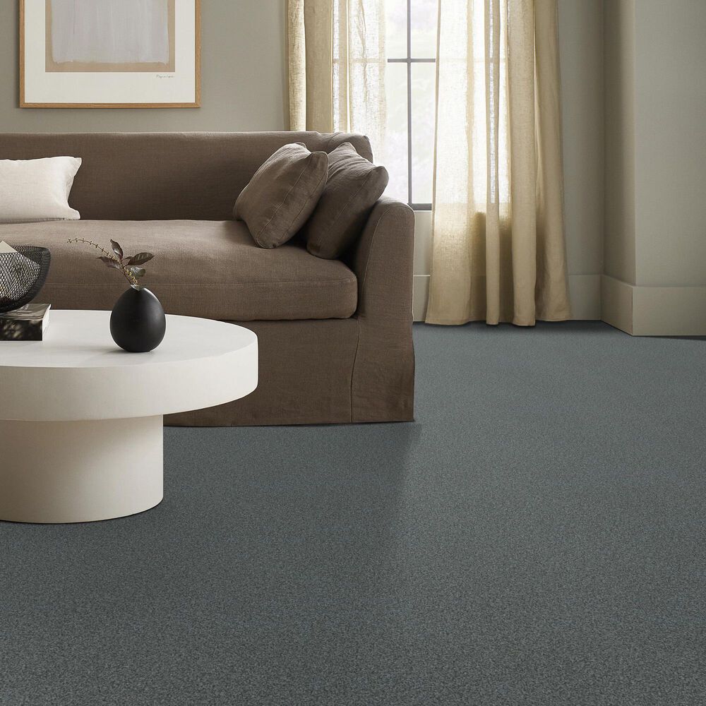 69293-anderson-tuftex-terra-nova-carpet-in-norwegian-1.jpg