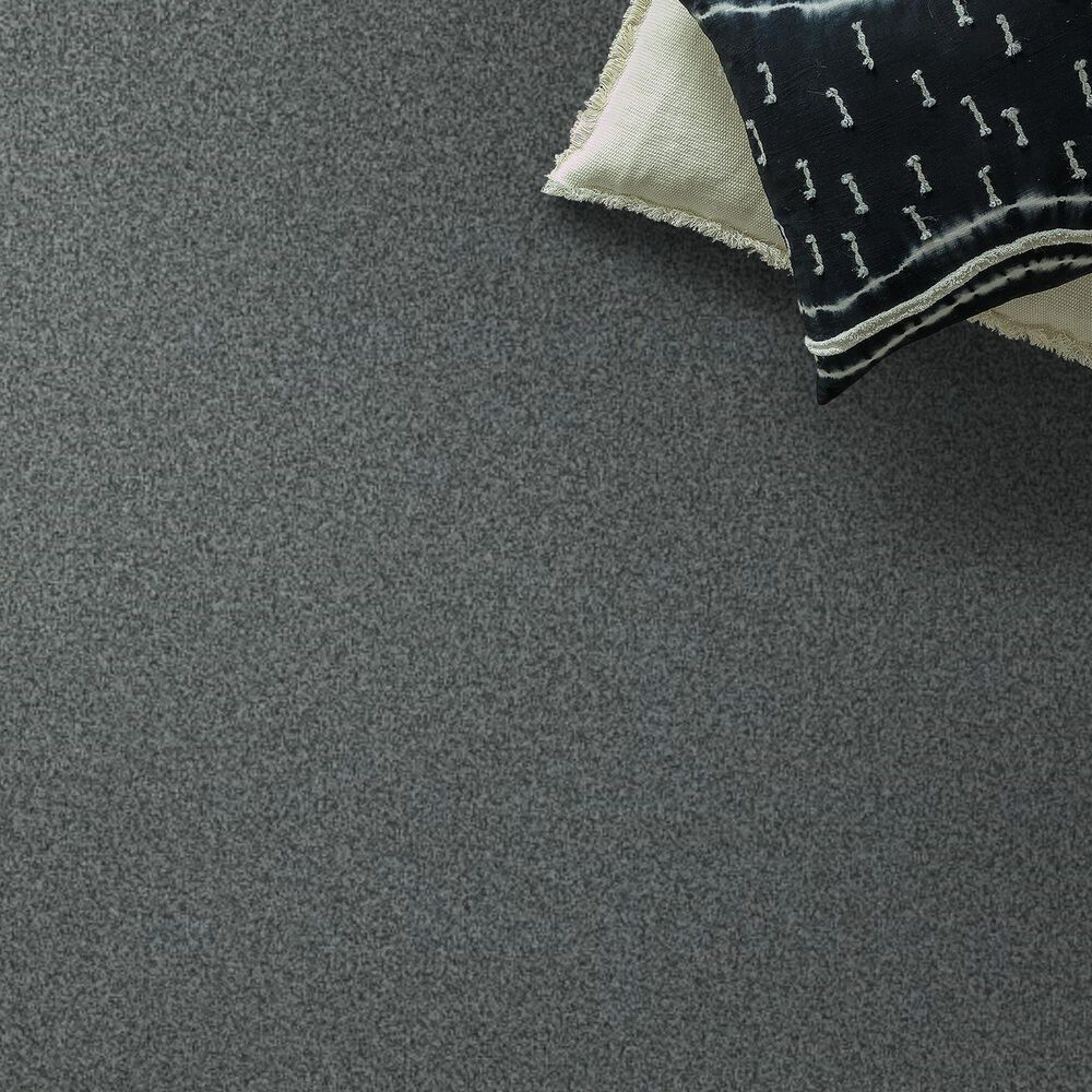 69293-anderson-tuftex-terra-nova-carpet-in-norwegian-1.jpg