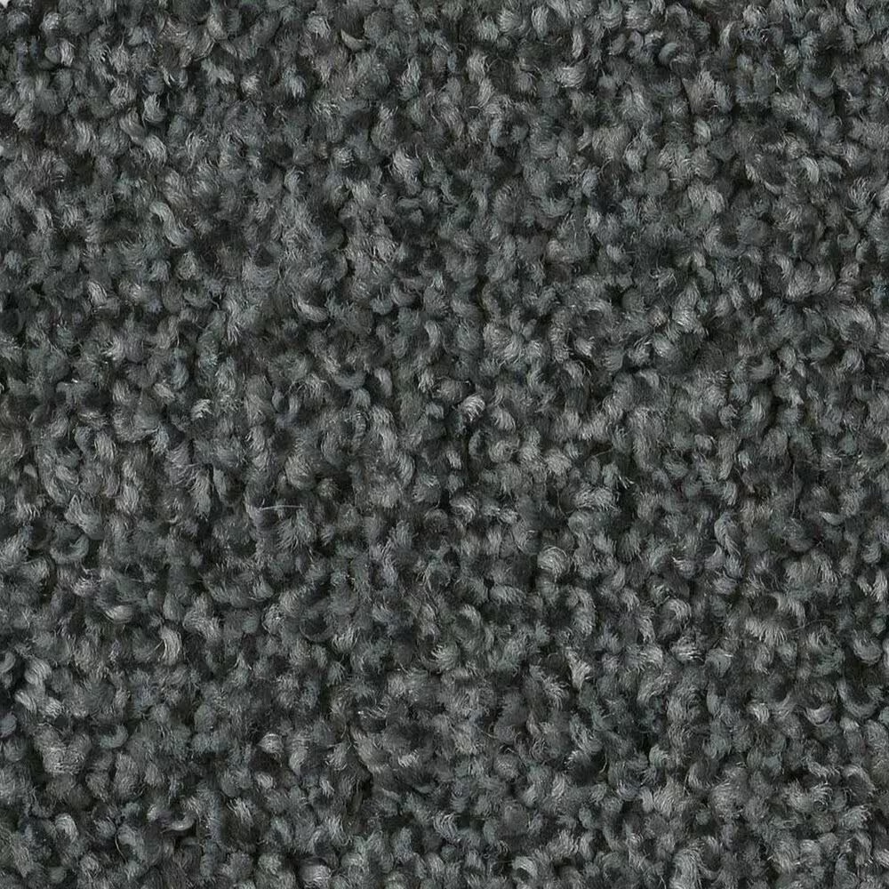 Anderson Tuftex Terra Nova Carpet in Submarine