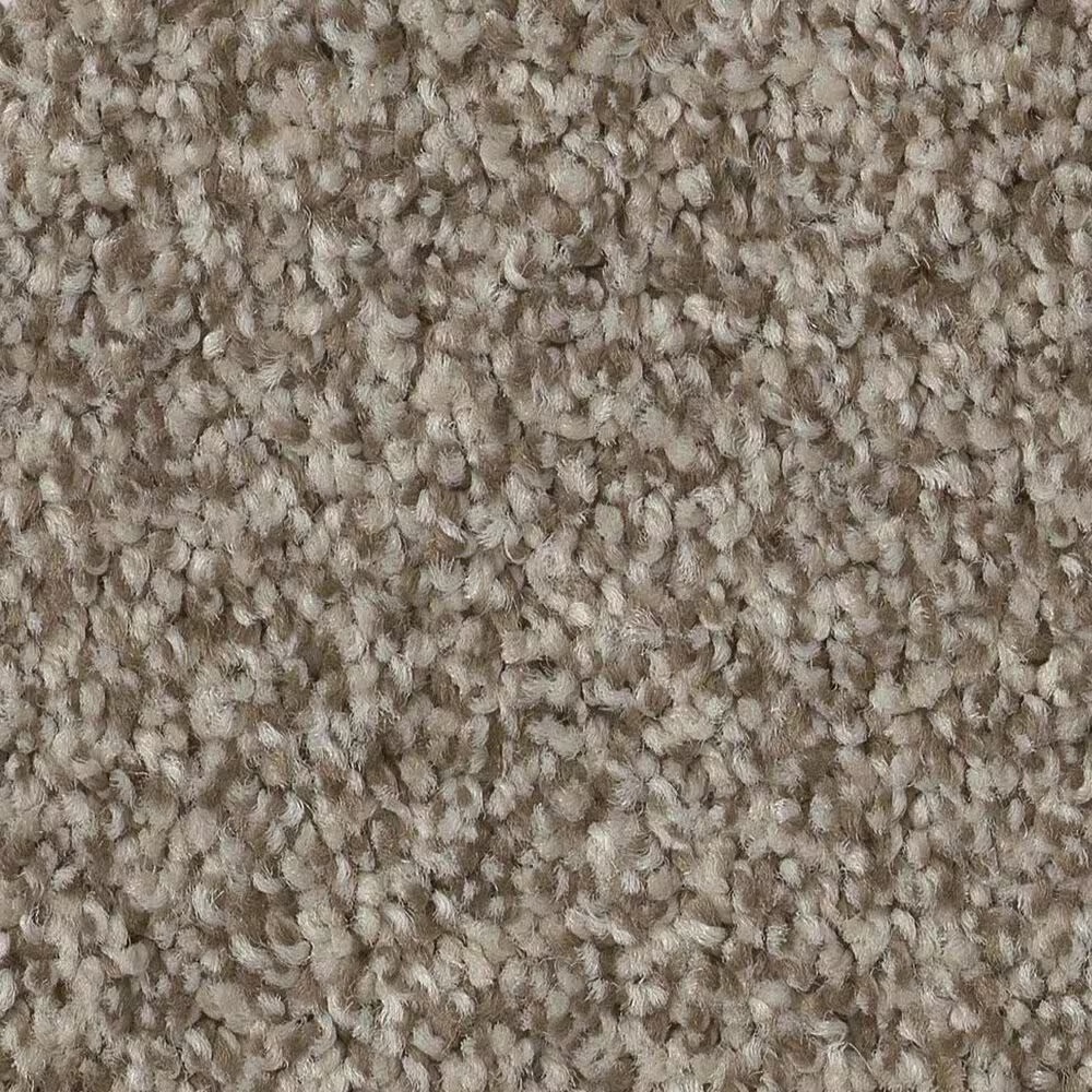 Anderson Tuftex Terra Nova Carpet in Urban Nature