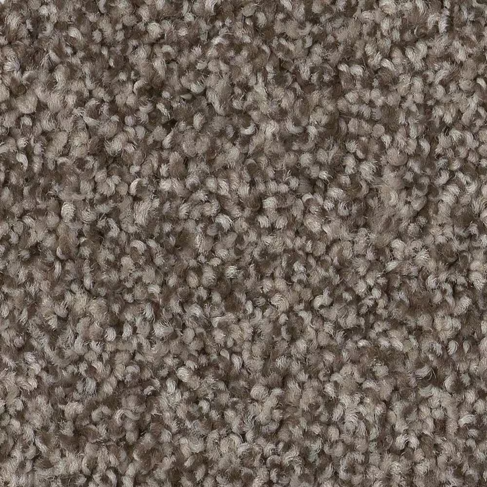 Anderson Tuftex Terra Nova Carpet in Arrowhead