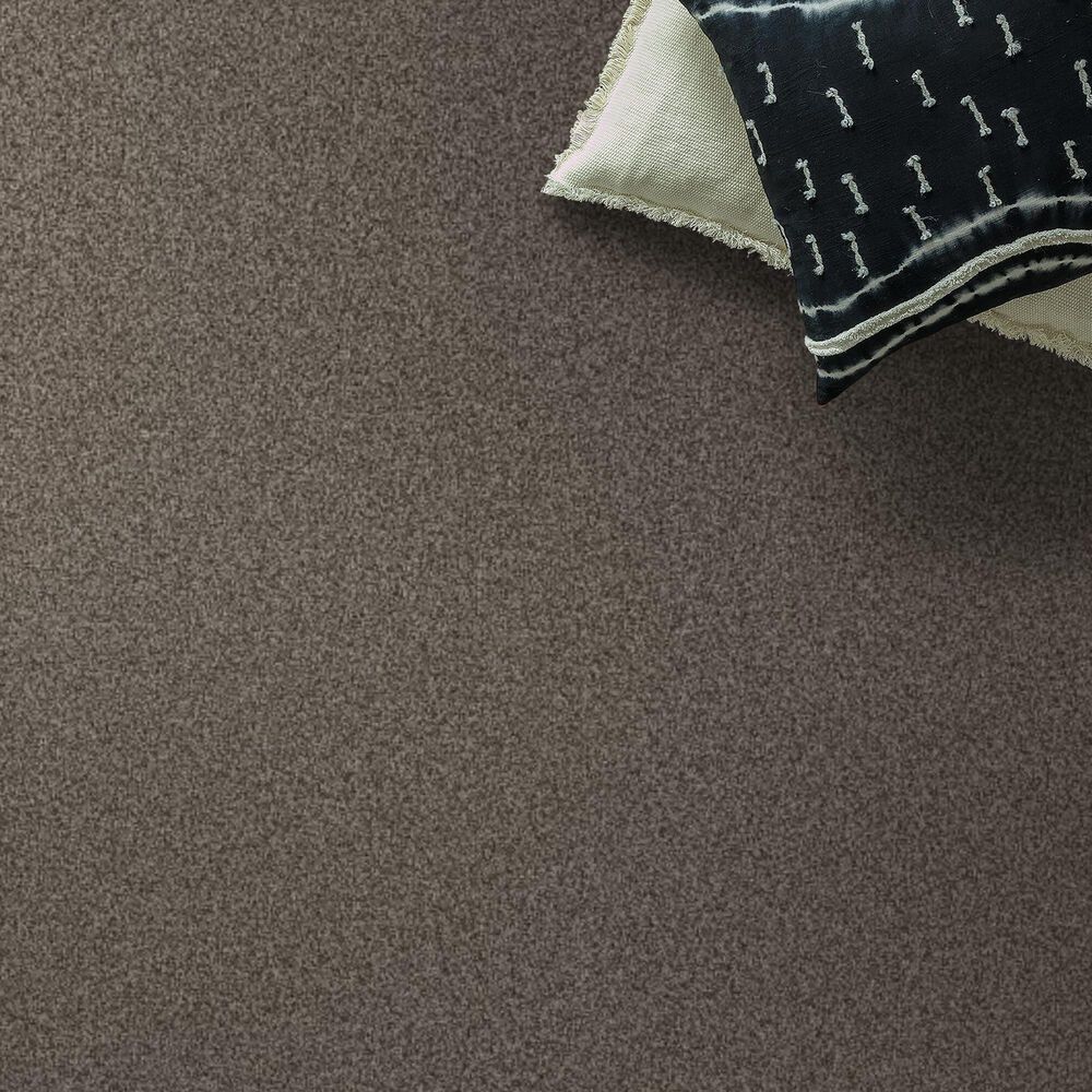 69368-anderson-tuftex-terra-nova-carpet-in-arrowhead-1.jpg