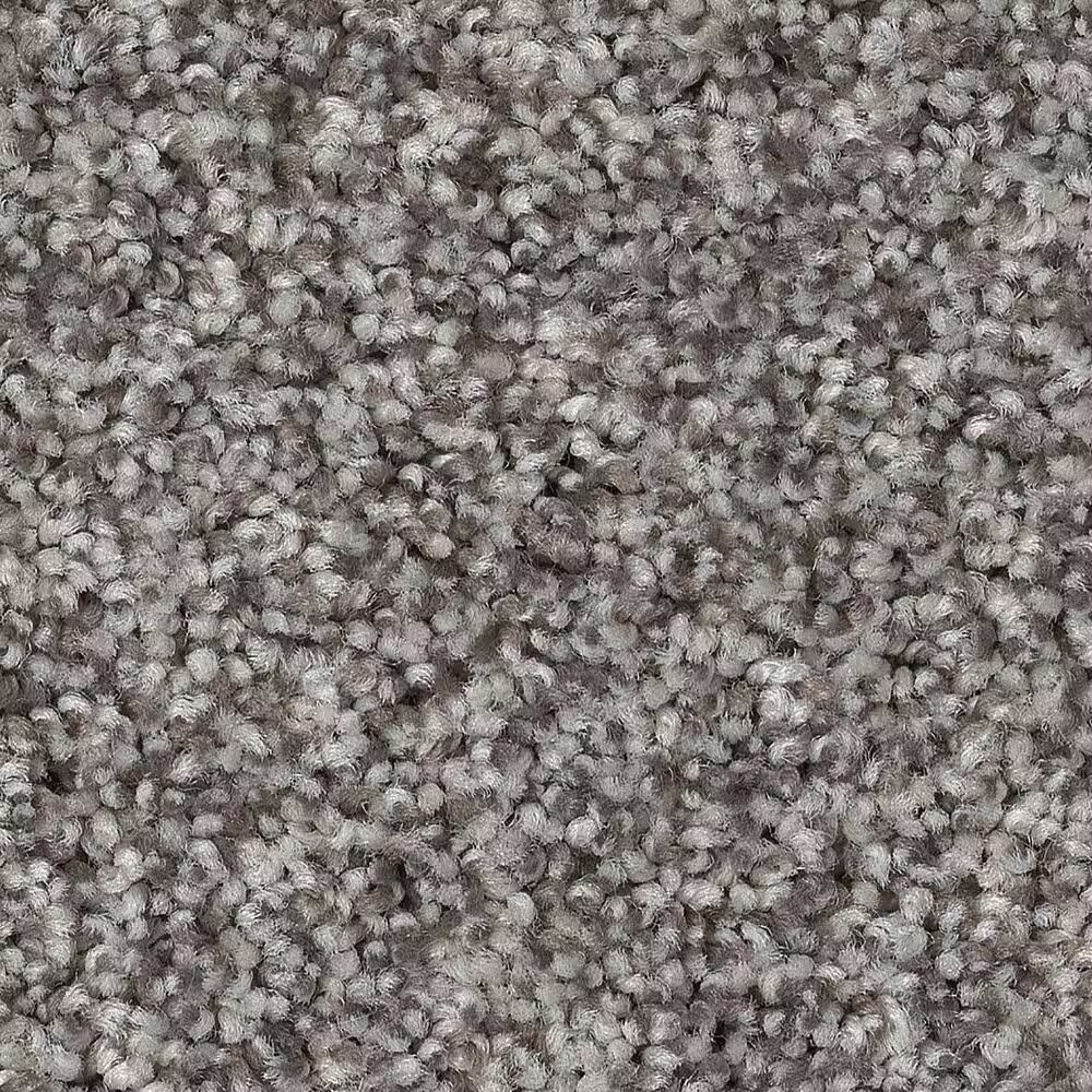 Anderson Tuftex Terra Nova Carpet in Chelsea Fog