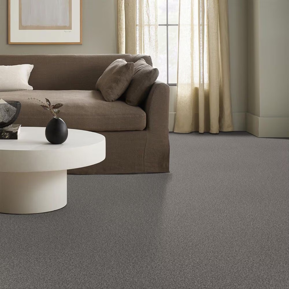69393-anderson-tuftex-terra-nova-carpet-in-chelsea-fog-1.jpg