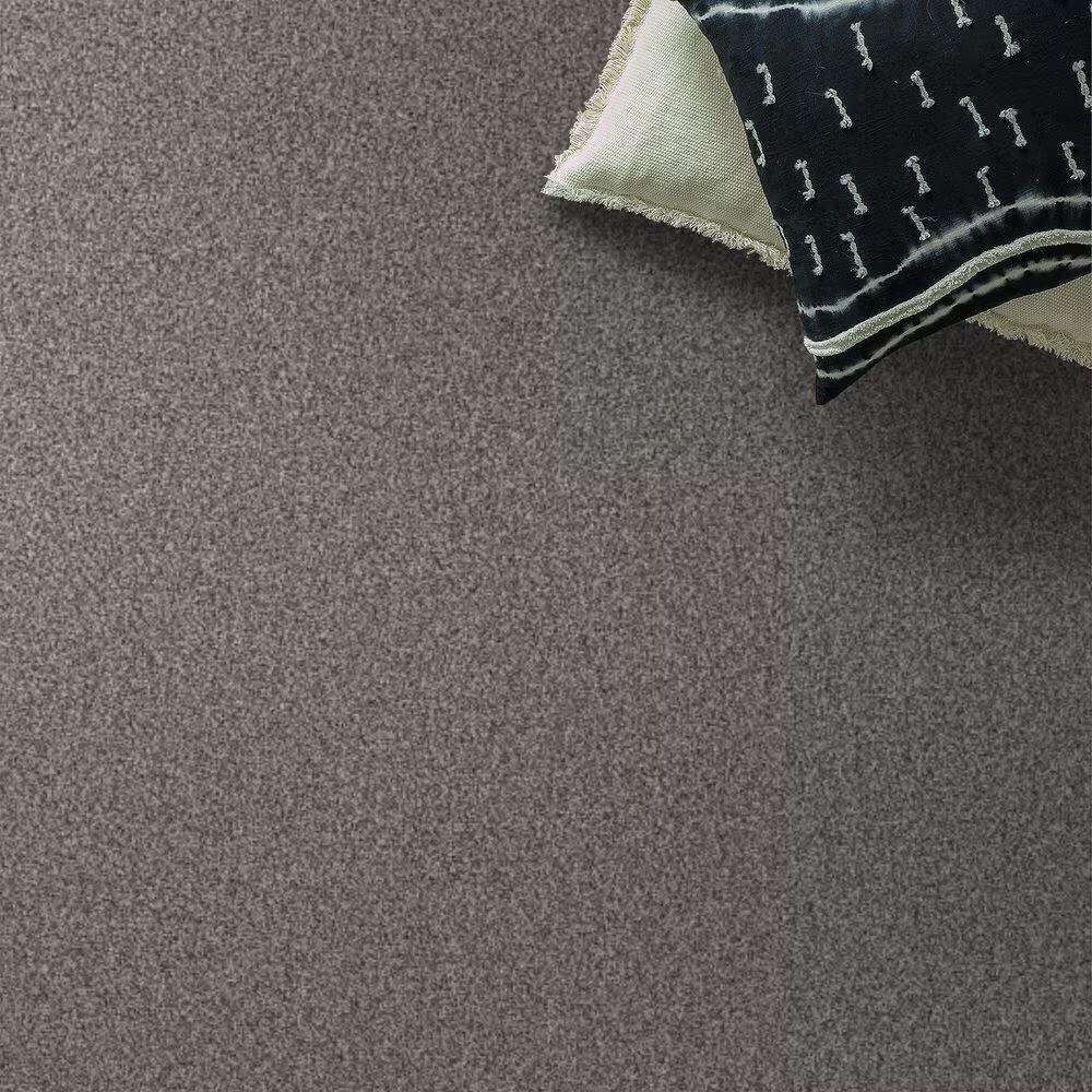 69393-anderson-tuftex-terra-nova-carpet-in-chelsea-fog-1.jpg